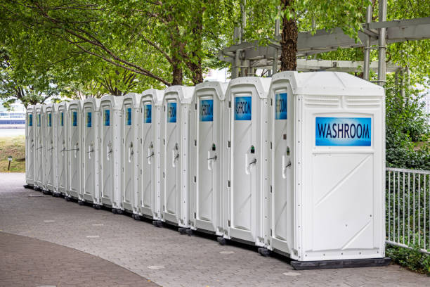 Best Luxury portable toilet rental  in Mazomanie, WI